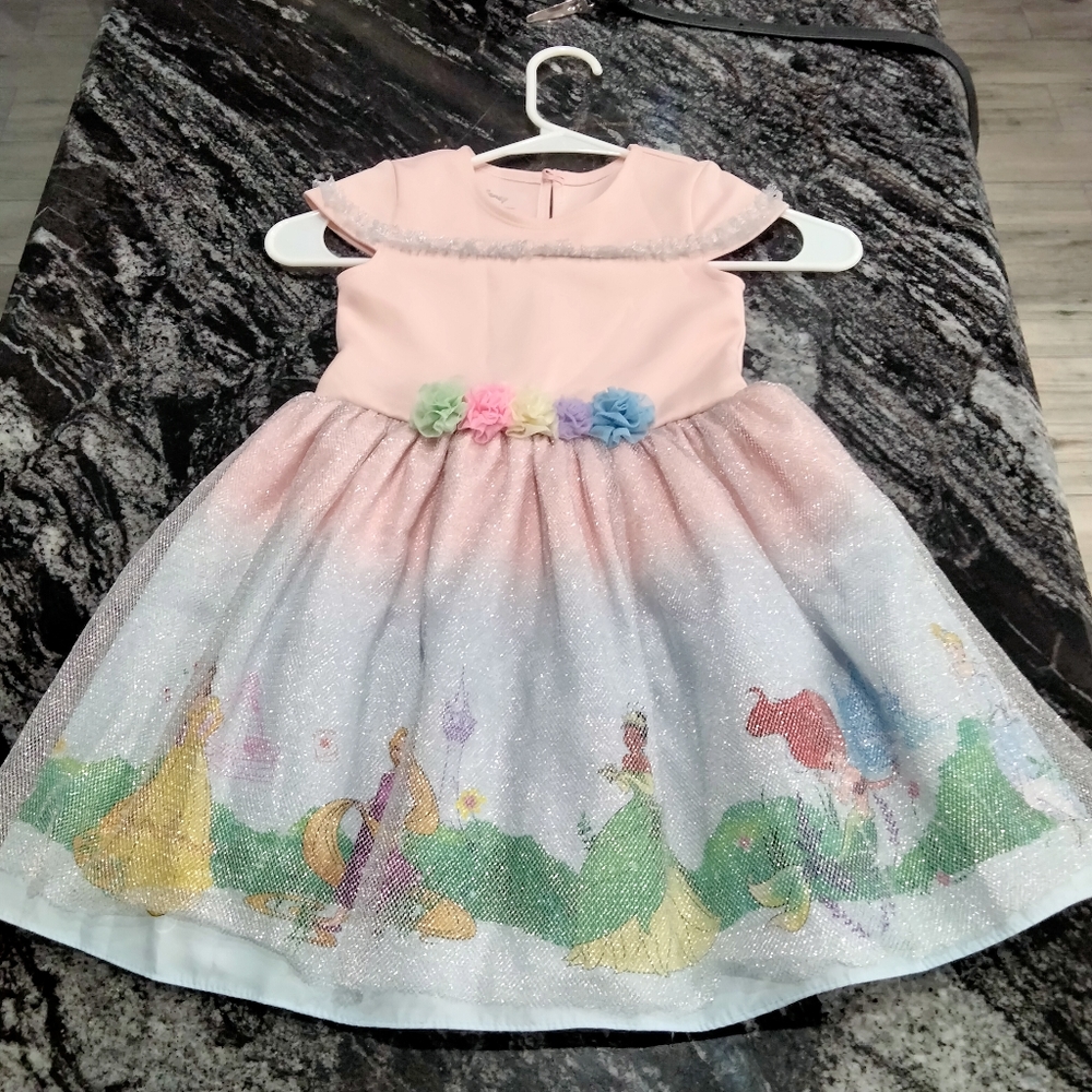 Disney Princess Dress